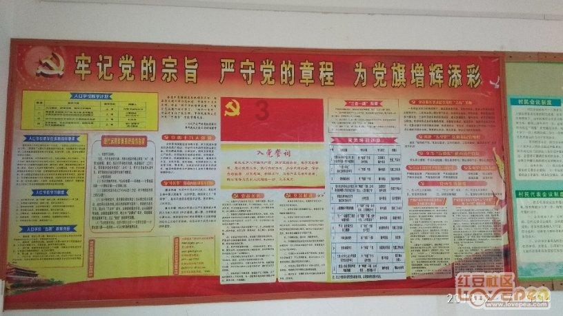救援小肥兔